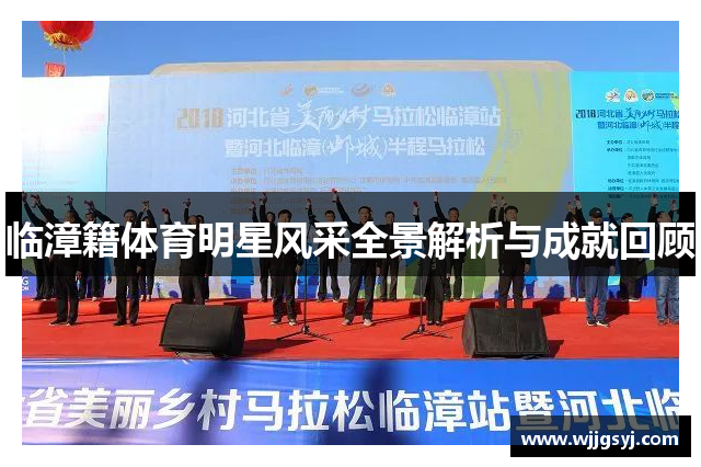 临漳籍体育明星风采全景解析与成就回顾