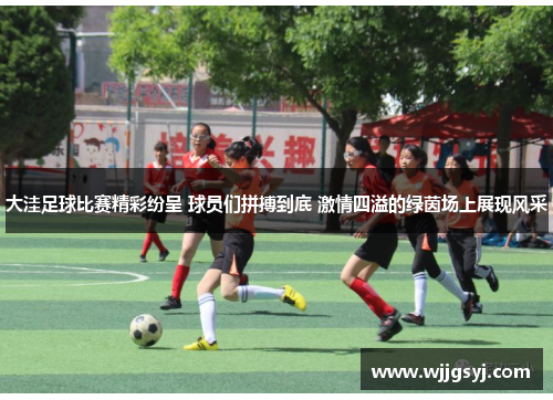大洼足球比赛精彩纷呈 球员们拼搏到底 激情四溢的绿茵场上展现风采